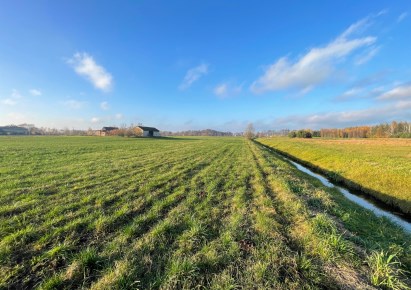 działka na sprzedaż - Skrwilno, Okalewo